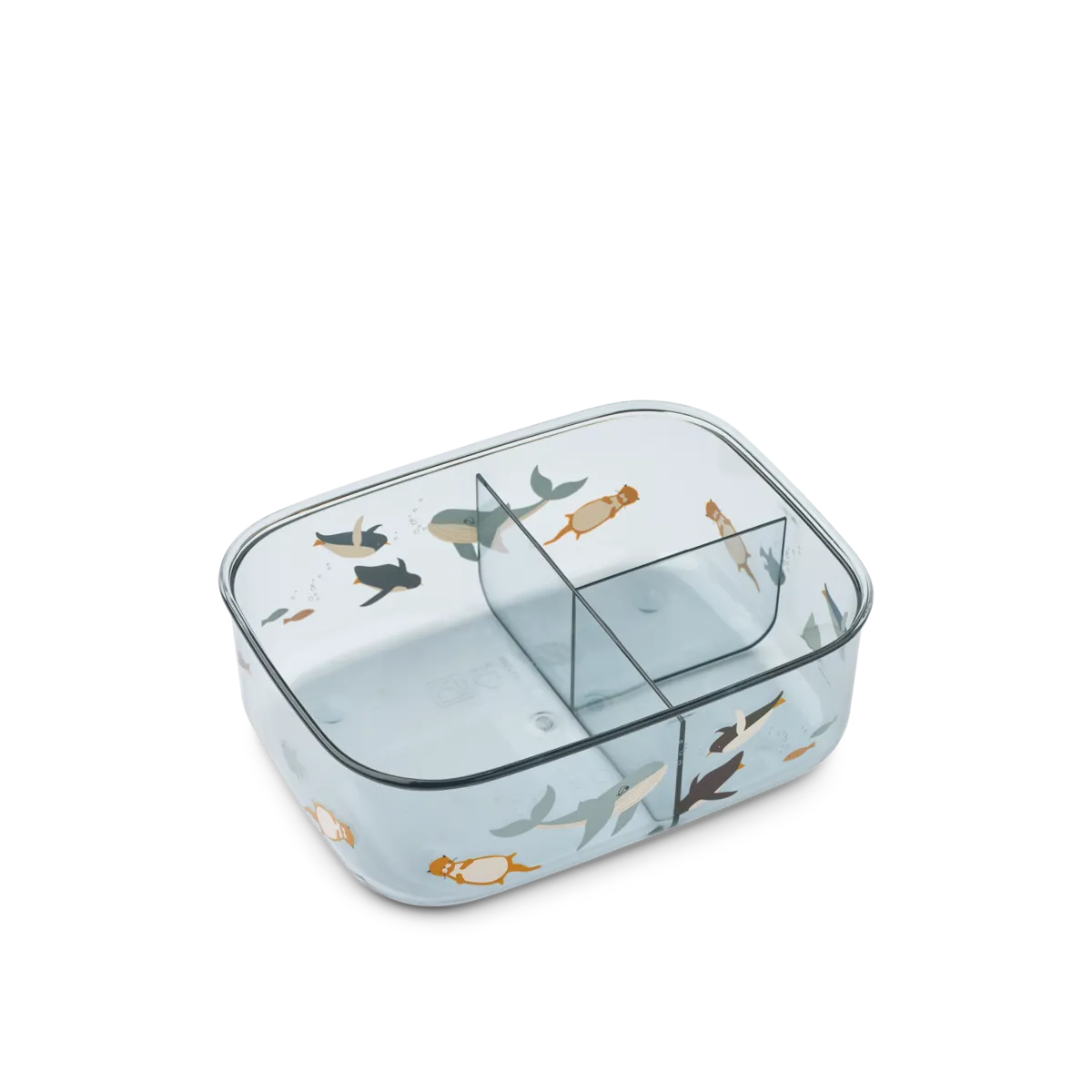 Pietų dėžutė „Arkties vandenynas“ - Image 2