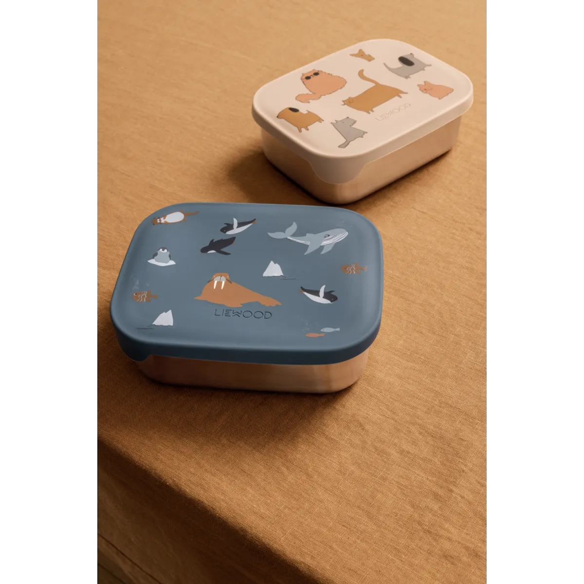 Pietų dėžutė „Arkties vandenynas“ - Image 3