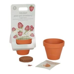 LD9131-plant-pot-strawberry_3-600×600